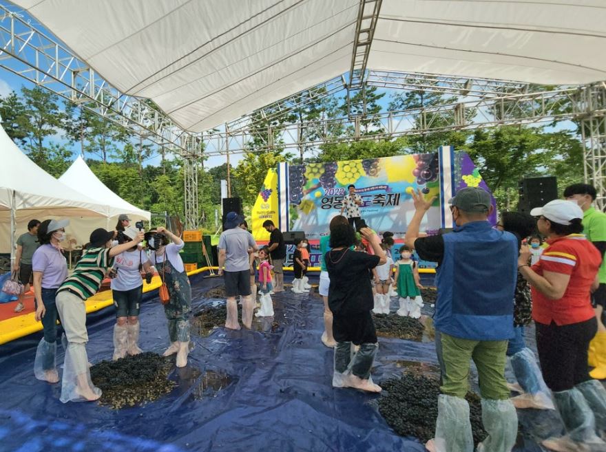 [C-181] 노마진상품! 영동 포도축제+반야사+레인보우힐링센터 족욕체험