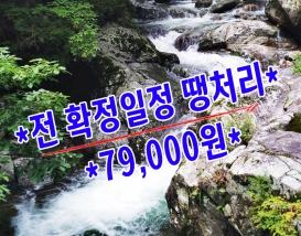 [C-181] 노마진상품! 영동 물한계곡&황룡사+와인터널+레인보우힐링센터 족욕체험