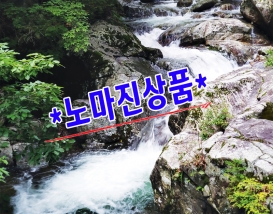[C-181] 노마진상품! 영동 물한계곡&황룡사+와인터널+레인보우힐링센터 족욕체험