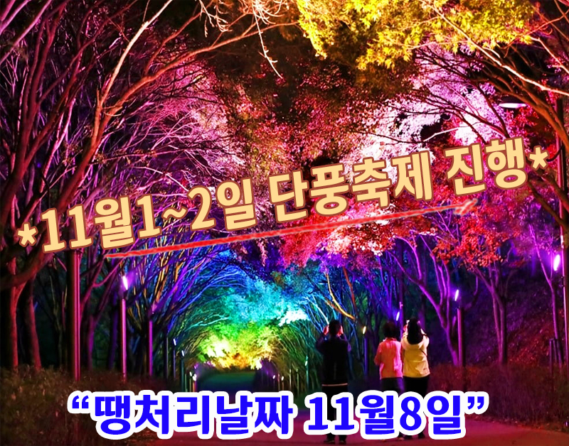 [C-184C] 천안 단풍나무숲길 야경+뚜쥬르 빵돌가마마을+각원사 단풍