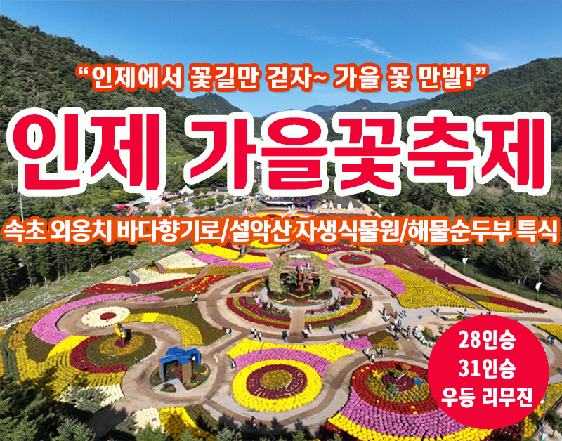 [C-185C] 강원도 가을여행 인제 가을 꽃 축제+설악산 자생식물원+속초 외옹치 바다향기로