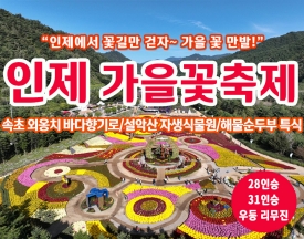 [C-185C] 강원도 가을여행 인제 가을 꽃 축제+설악산 자생식물원+속초 외옹치 바다향기로