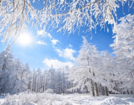 [C-187D] 차 타고 오르는 정선 함백산 만항재 설경