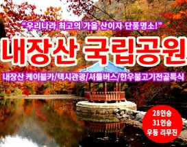 [C-18C] 단풍 명소 내장산 국립공원 단풍관광!