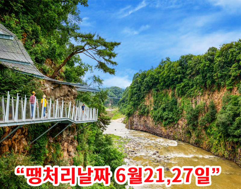 [C-193A] 철원 한탄강 잔도길&하늘다리+벽초지수목원 수국축제