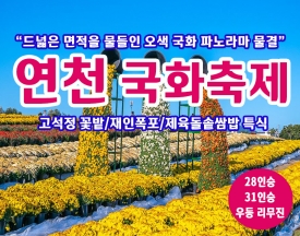 [C-193C] 연천 국화축제+고석정꽃밭+재인폭포+제육돌솥쌈밥 특식