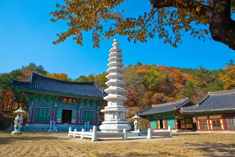 [C-197C] 추천코스 북설악 고성 화암사&신선대 단풍+대진항 해상공원
