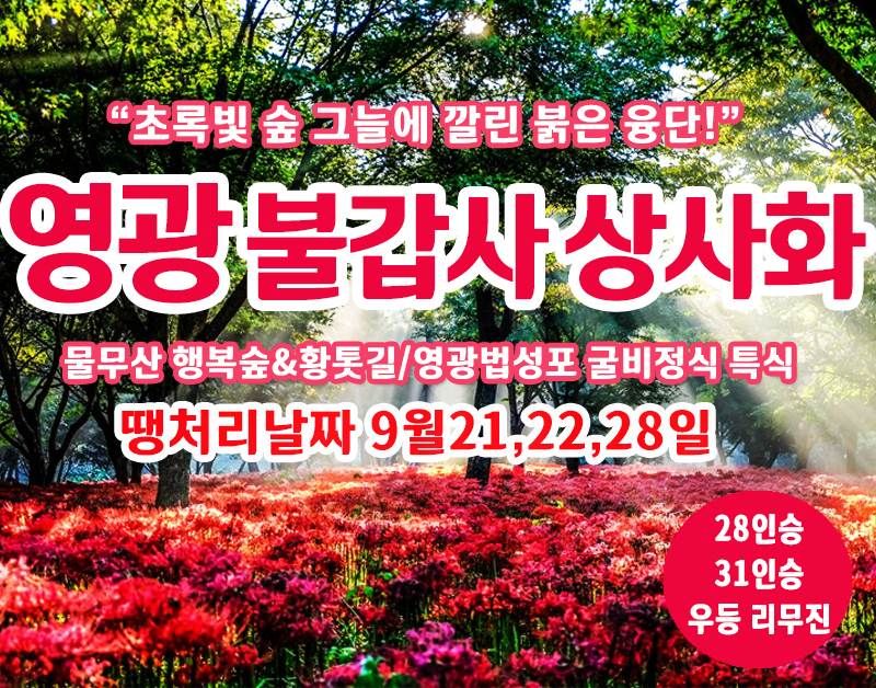 [C-19C] 땡처리 날짜(9월21,22,28일) 영광 불갑사 상사화축제+물무산 행복숲&황톳길+영광법성포 굴비정식 특식