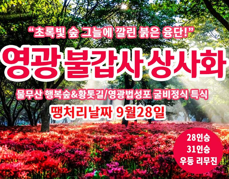 [C-19C] 땡처리 날짜(9월28일) 영광 불갑사 상사화축제+물무산 행복숲&황톳길+영광법성포 굴비정식 특식