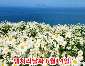 [C-210] 부안 내소사 전나무숲길+부안 변산마실길 샤스타 데이지+적벽강노을길&수성당