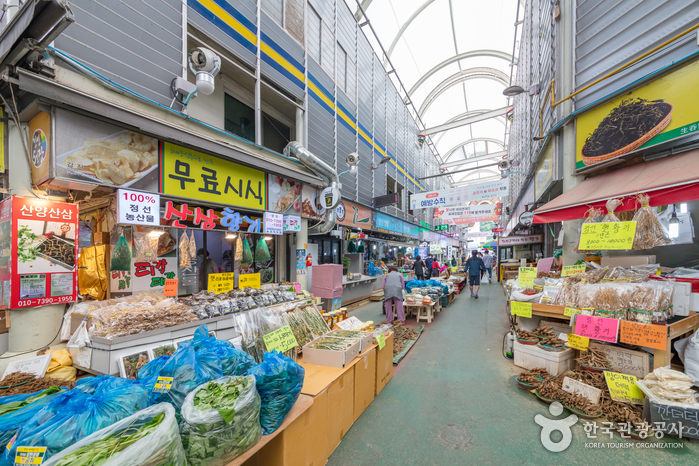 [C-212B] 정선 이끼 항골계곡숲길+정선5일장+나전역카페