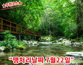 [C-212B] 추천코스 여름에도 시원한 정선 이끼 항골계곡숲길+정선5일장+나전역카페