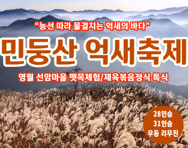 [C-212C] 정선 민둥산억새축제+영월 선암마을 뗏목체험 가을여행