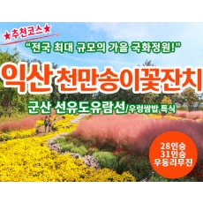 [C-213C] 추천여행 익산 천만송이국화축제&핑크뮬리+군산 선유도유람선+우렁제육쌈밥 특식