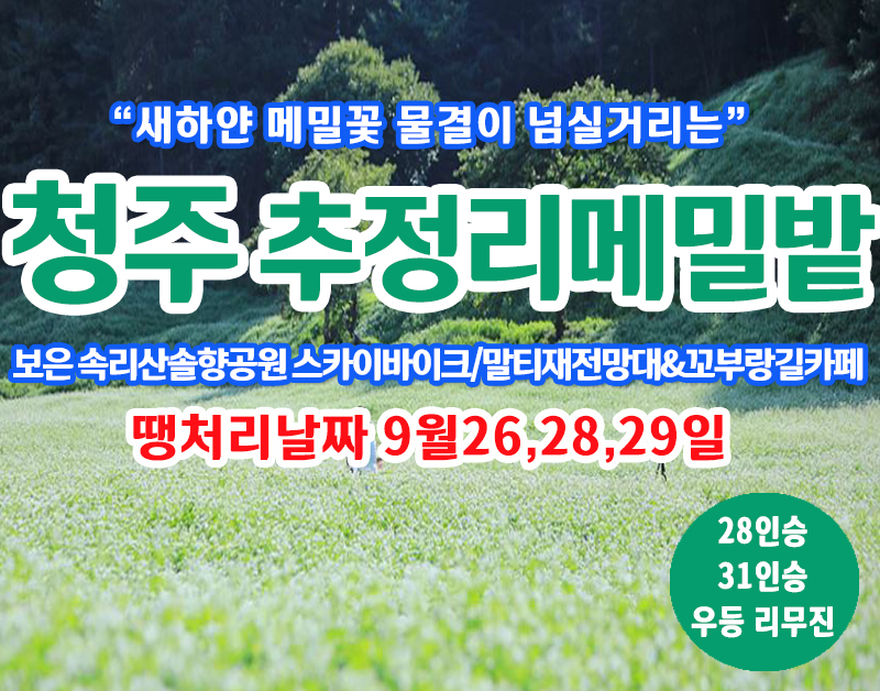 [C-215] 땡처리 날짜(9월26,28,29일) 청주 추정리 메밀밭+보은 속리산 솔향공원 스카이바이크+말티재전망대 가을여행