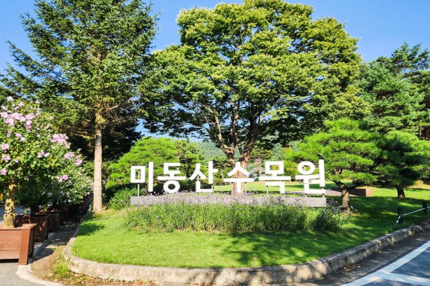 [C-215] 청주 추정리 메밀밭+미동산수목원+상당산성
