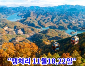 [C-21C] 제천 청풍호반 케이블카+배론성지 단풍+비룡담저수지