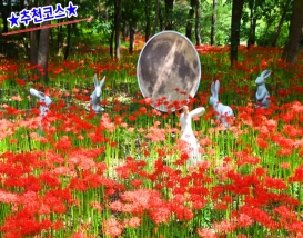 [C-220C] 추천코스 성주산 자연휴양림 꽃무릇+남당항 대하축제+죽도 섬투어