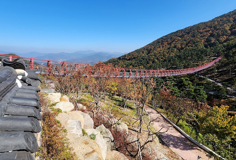 [C-22C] 우리나라 최대 구절초 군락지 산청 동의보감촌&무릉교+대원사 계곡탐방길+오리불고기 특식