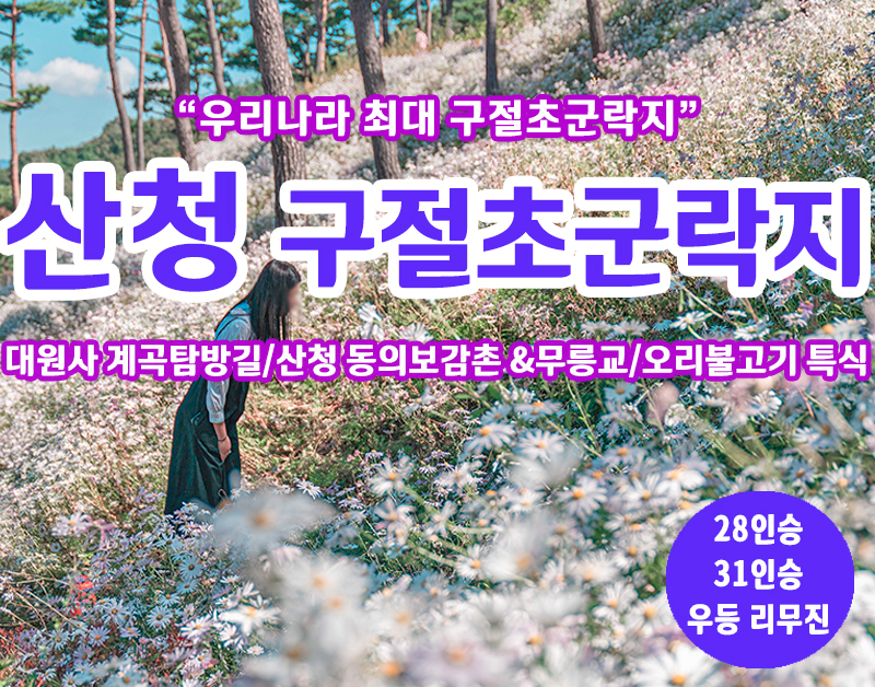 [C-22C] 우리나라 최대 구절초 군락지 산청 동의보감촌&무릉교+대원사 계곡탐방길+오리불고기 특식