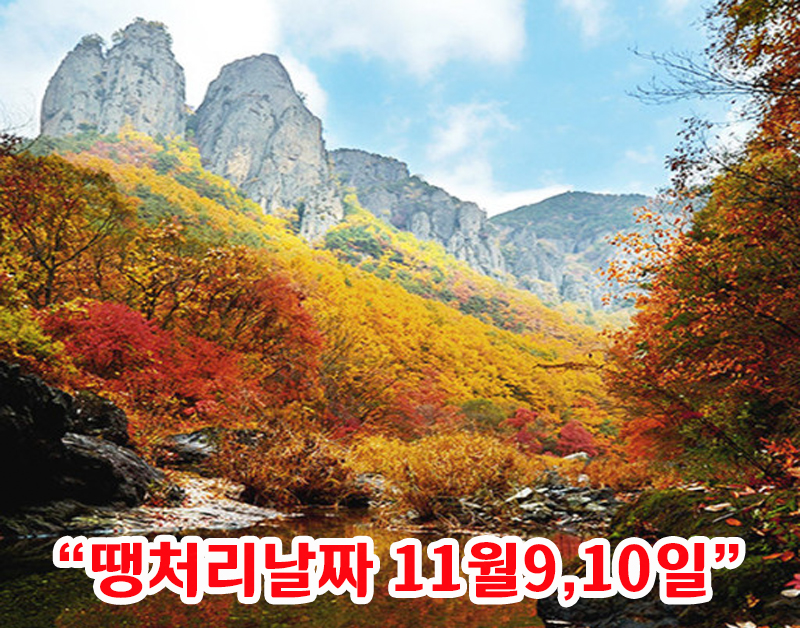 [C-26C] 청송 주왕산 단풍 무장애나눔길+청송 주산지+산채비빔밥정식 특식