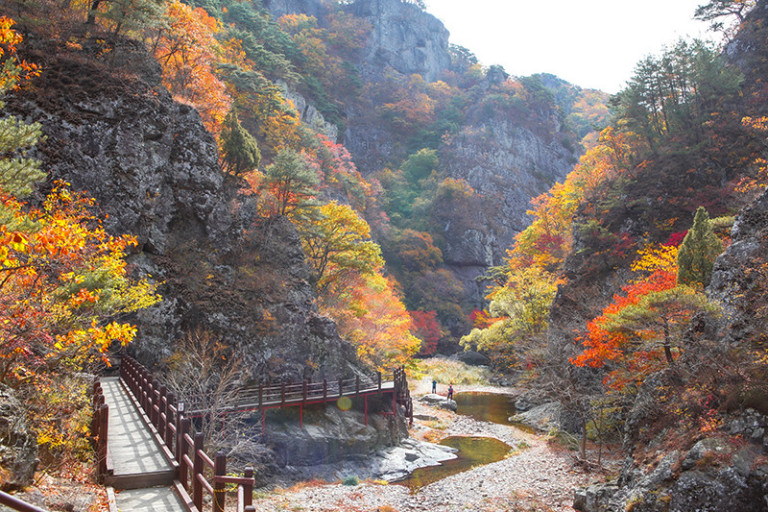 [C-26C] 주왕산 단풍 무장애나눔길&대전사+청송 주산지