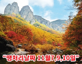 [C-26C] 청송 주왕산 단풍 무장애나눔길+청송 주산지+산채비빔밥정식 특식