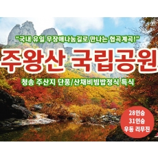 [C-26C] 청송 주왕산 단풍 무장애나눔길+청송 주산지+산채비빔밥정식 특식