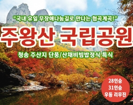 [C-26C] 청송 주왕산 단풍 무장애나눔길+청송 주산지+산채비빔밥정식 특식