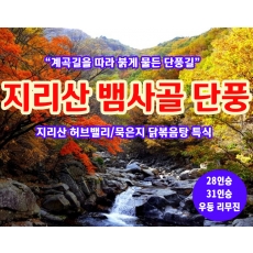 [C-28C] 지리산 뱀사골 단풍+지리산 허브밸리+묵은지닭볶음탕 특식