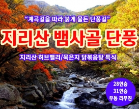 [C-28C] 지리산 뱀사골 단풍+지리산 허브밸리+묵은지닭볶음탕 특식