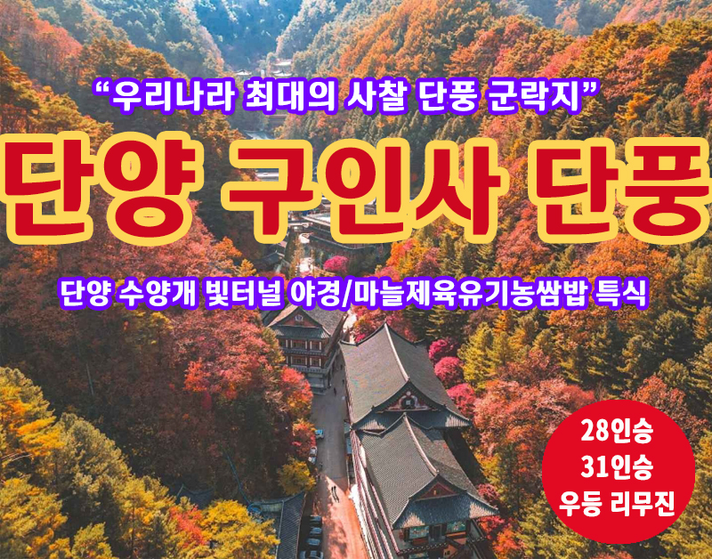 [C-29C] 우리나라 최대 절 단풍군락지 단양 구인사 단풍여행+단양수양개빛터널+마늘제육쌈밥 특식