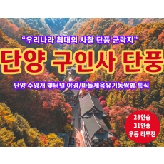 [C-29C] 우리나라 최대 절 단풍군락지 단양 구인사 단풍여행+단양수양개빛터널+마늘제육쌈밥 특식