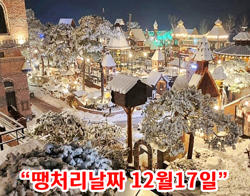 [C-31D] 여주 루덴시아 야경+원주 치악산둘레길+스톤크릭 빙벽카페