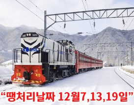 [C-34A]백두대간 협곡열차+분천 산타마을+영주 소수서원&선비촌