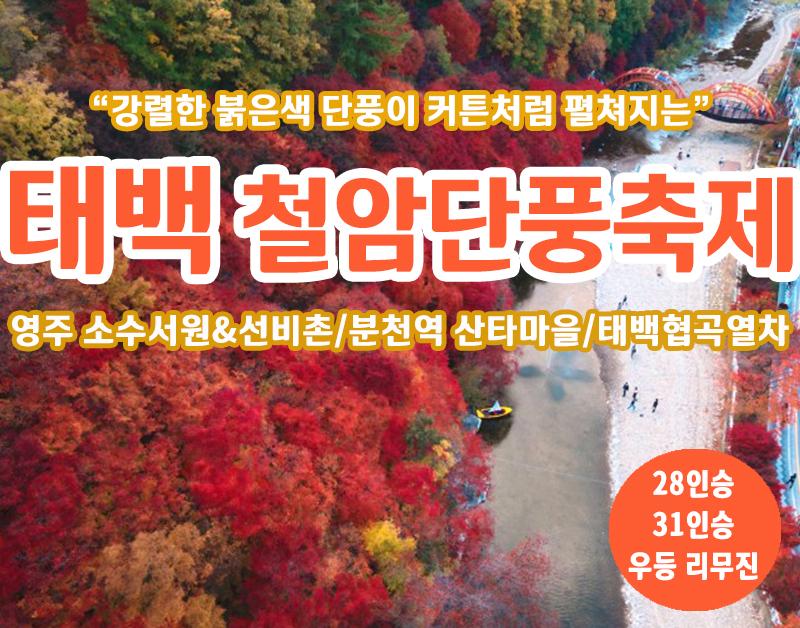 [C-34D] 강원도 백두대간협곡열차(분천-철암)+태백 철암단풍축제+영주 소수서원&선비촌 단풍여행