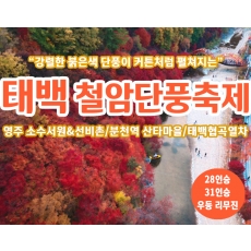 [C-34D] 강원도 백두대간협곡열차(분천-철암)+태백 철암단풍축제+영주 소수서원&선비촌 단풍여행