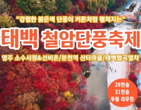 [C-34D] 강원도 백두대간협곡열차(분천-철암)+태백 철암단풍축제+영주 소수서원&선비촌 단풍여행