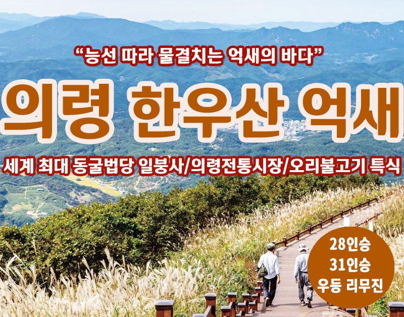 [C-35C] 의령 한우산 억새+세계최대 동굴법당 일붕사+의령전통시장+오리불고기 특식