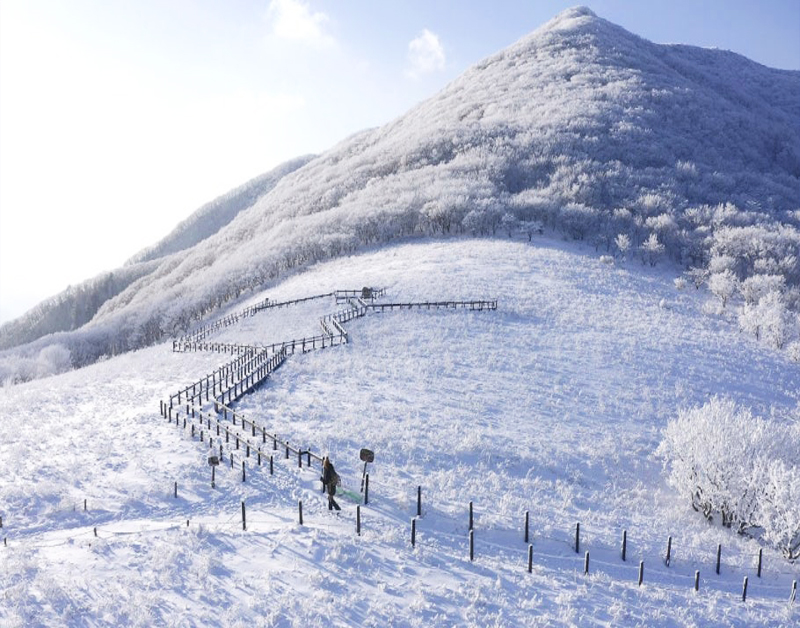 [C-40C] 천상화원 인제 점봉산 곰배령 설경 탐방여행