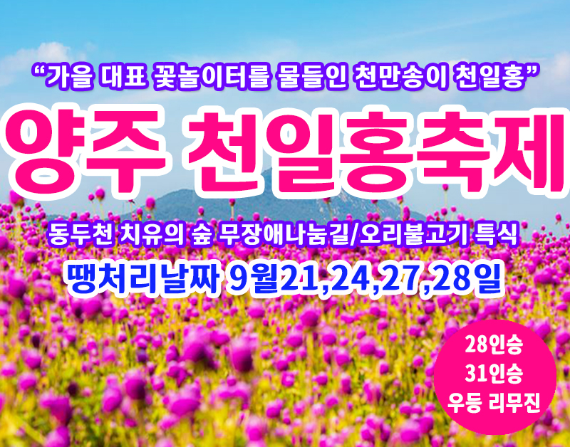 [C-40C] 땡처리 날짜(9월21,24,27,28일) 양주 천만송이 천일홍축제+동두천 치유의 숲+오리불고기 특식