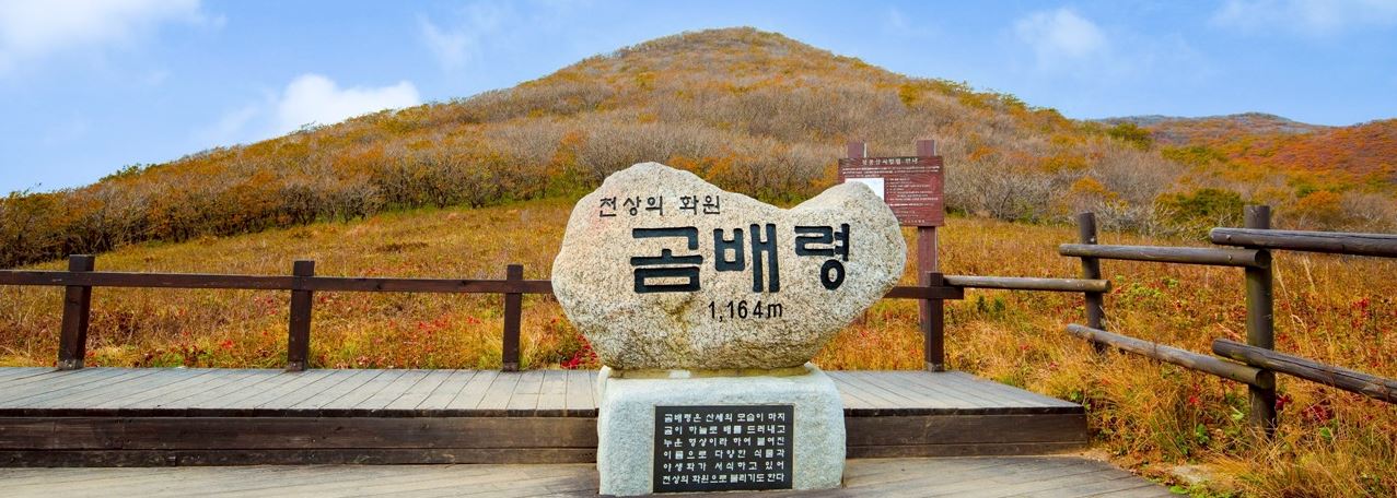 [C-40C] 천상화원 인제 점봉산 곰배령 탐방여행