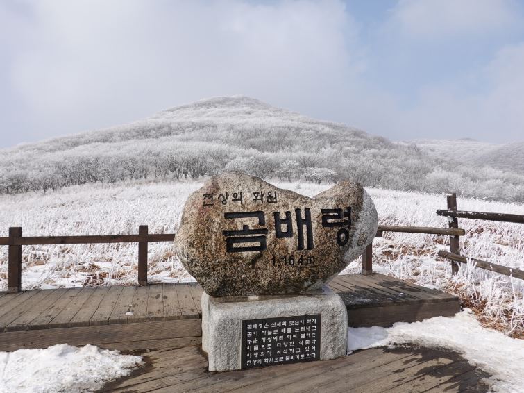 [C-40C] 천상화원 인제 점봉산 곰배령 설경 탐방여행