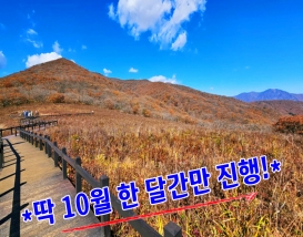 [C-40C] 천상화원 인제 점봉산 곰배령 탐방여행