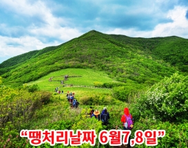 [C-40C] 천상화원 인제 점봉산 곰배령 탐방여행
