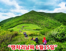 [C-40C] 천상화원 인제 점봉산 곰배령 탐방여행