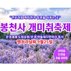 [C-42C] 땡처리 날짜(9월25일) 문경새재 도립공원+봉천사 개미취축제+약돌돼지한마리 특식