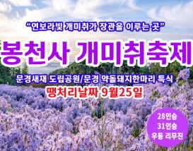 [C-42C] 땡처리 날짜(9월25일) 문경새재 도립공원+봉천사 개미취축제+약돌돼지한마리 특식