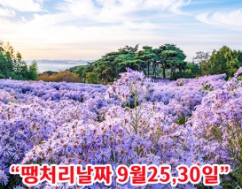[C-42C] 문경새재 도립공원+봉천사 개미취축제