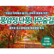 [C-56] 광주 풍암정 단풍나무숲길+광주호 호수생태공원